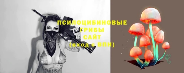 гидропоника Михайловка