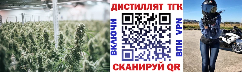 ТГК THC oil  как найти закладки  Нюрба 