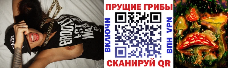 ссылка на мегу ONION  Нюрба  Галлюциногенные грибы Psilocybine cubensis  даркнет сайт 